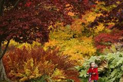 Foto: Krásy podzimu