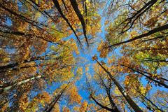 Foto: Krásy podzimu