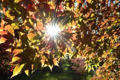 Foto: Krásy podzimu