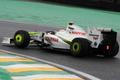 Rubens Barrichello (Brawn GP) - oboard Interlagos