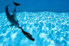 Nejlepší snímky Reuters na pomoc dětem - série Zvířata, příroda, panorama