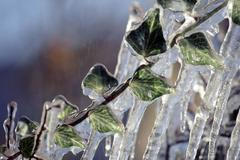 Foto: Zima je tu. Nechte se očarovat jejími krásami. /// Ilustrační snímek ///