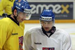 Hokejová reprezentace před odletem na MS