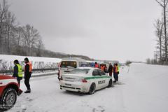 Hromadná nehoda R35