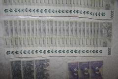 policie podvod peníze