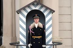 Hradní stráž na slavnostním nástupu