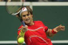 Finále Davis Cupu, zápas Radek Štěpánek - David Ferrer