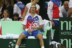 Finále Davis Cupu, zápas Radek Štěpánek - David Ferrer