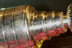 Kariéra Dominika Haška