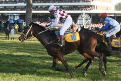 Velká pardubická: Josef Váňa s Tiumenem