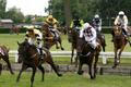 Velká Pardubická - 26