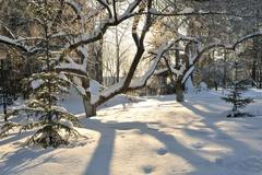 Foto: Zima je tu. Nechte se očarovat jejími krásami. /// Ilustrační snímek ///