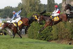 Bělka Sixteen skáče Taxis