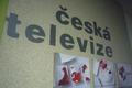 Česká televize