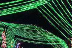 Foto: Nechte se učarovat předvánoční atmosférou