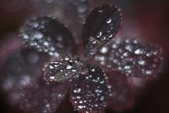 Foto: Krásy podzimu