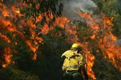 Požáry porostu ve Španělsku již ohrožují města