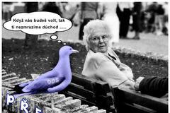 Nečas - ODS - vtipy