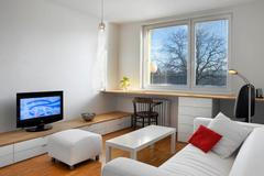 Nepraktická dispozice