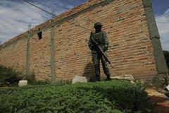 Foto: Jak se v Mexiku likviduje 40 hektarové pole marihuany