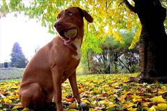 Dokumentujeme.cz: Jak si čtenáři užívali podzimní volno