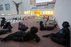 Prezidentská kampaň