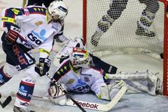 Hokej, extraliga: Kladno - Pardubice: Dušan Salfický inkasuje
