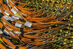 Sítě informační technologie počítač internet