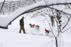 Fotogalerie: Blizard v USA - únor 2013