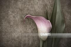 Úmrtí, ilustrační foto