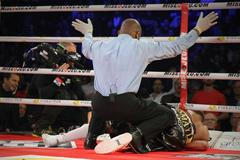 boxerské knockouty roku 2013 (Sergej Kovaljov vs. Ismajl Sillach)