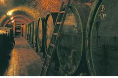 hlavní habánské sklepy