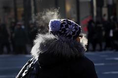 Fotogalerie: Mrazivé počasí v USA