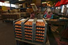 Fotogalerie: Průmyslová výroba velikonočních vajíček