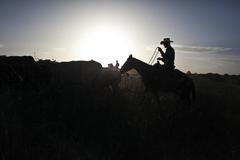 Fotogalerie: Kovbojové z Golanských výšin