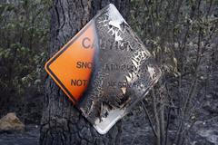 Požár požírá Yosemitský národní park