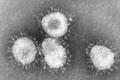 Koronavirus