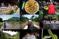 WoL - Marek Velechovský