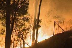 Austrálie bojuje se stovkou lesních požárů