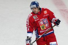 Čeští hokejisté před MS 2013: Petr Hubáček