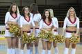 Basketbal, Nymburk - Fuenlabrada: cheerleaders
