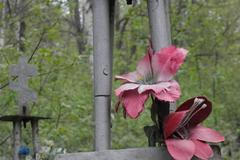 Náhrobky rodiny Ticháčkových no. 2