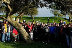 VIDEO Tigera nezastavil ani strom