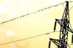 ČEZ, ilustrační snímek