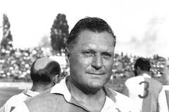 Josef Bican - kariéra