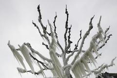 Mrazy ve Švýcarsku