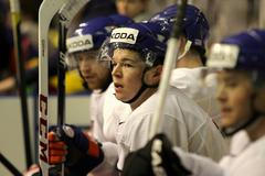 Hokej, MS 2013, český trénink: Tomáš Hertl