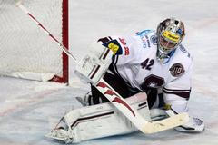 Hokej, extraliga, Sparta - Plzeň: Tomáš Pöpperle