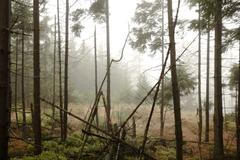 zpřístupnění vojenského újezdu Brdy