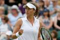 Petra Cetkovská se raduje z vítězství nad Wozniackou (Wimbledon 2013)